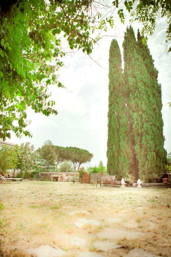 Il Pievano B&B Campiglia Marittima Eksteriør bilde